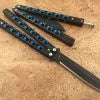 BM42 Blue Eye Black Butterfly Flicker